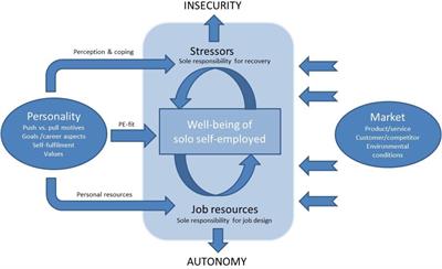 Caught Between Autonomy and Insecurity: A Work-Psychological View on Resources and Strain of Small Business Owners in Germany